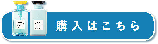 購入はこちら！